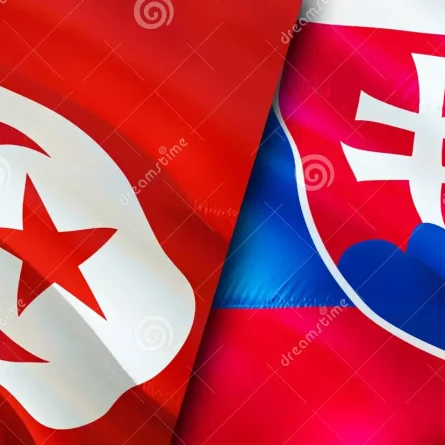 drapeaux-de-tunisie-et-slovaquie-d-modèle-drapeau-la-fond-écran-vs-image-rendu-relations-alliance-commerce-tourisme-232626918